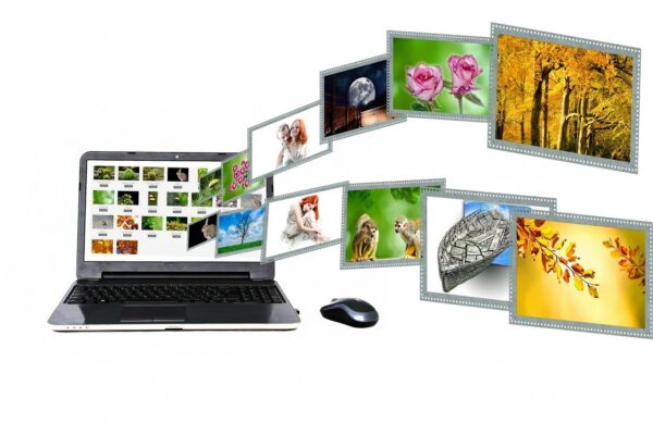 Best Website Builder for Small Businesses